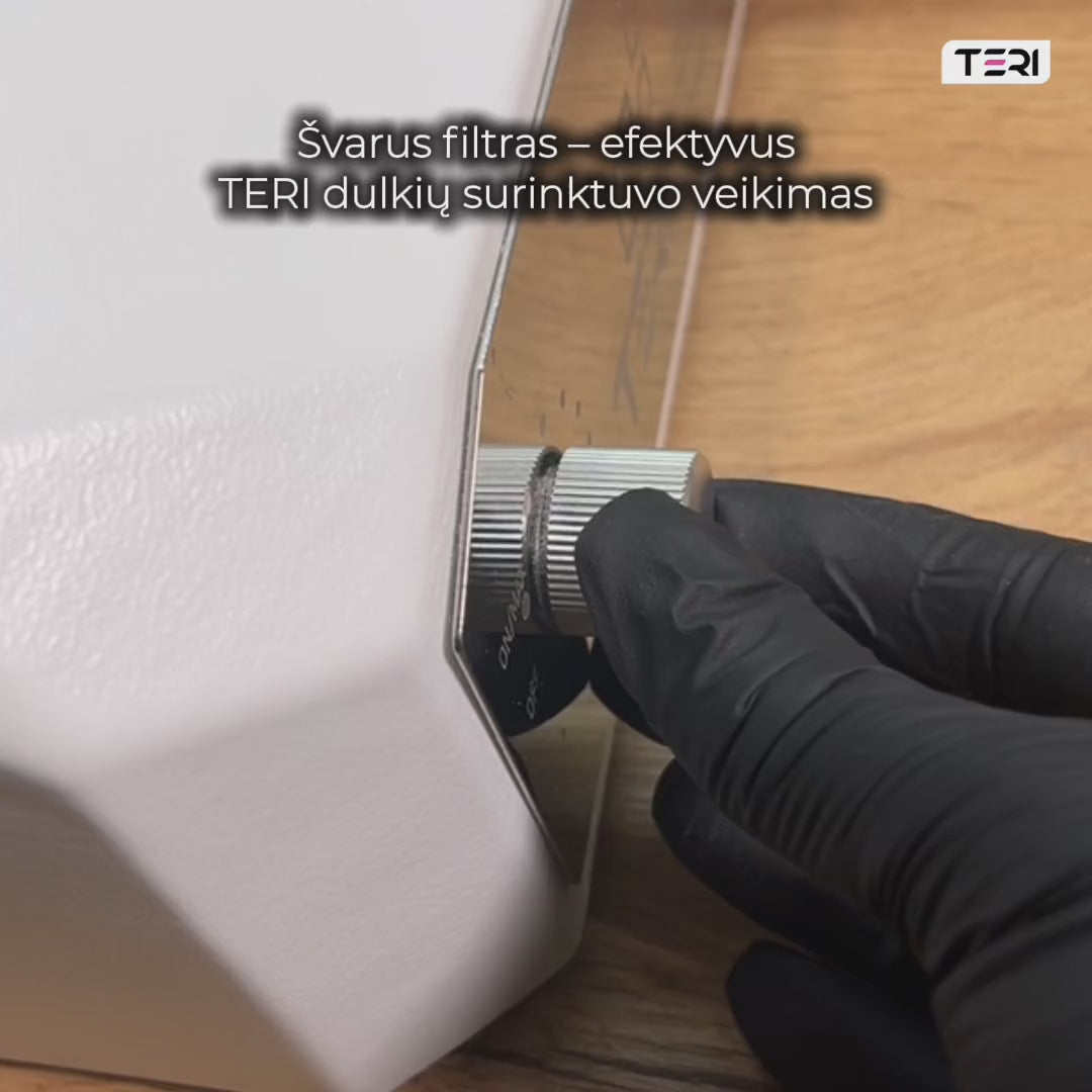 TERI Diamond filtro priežiūra